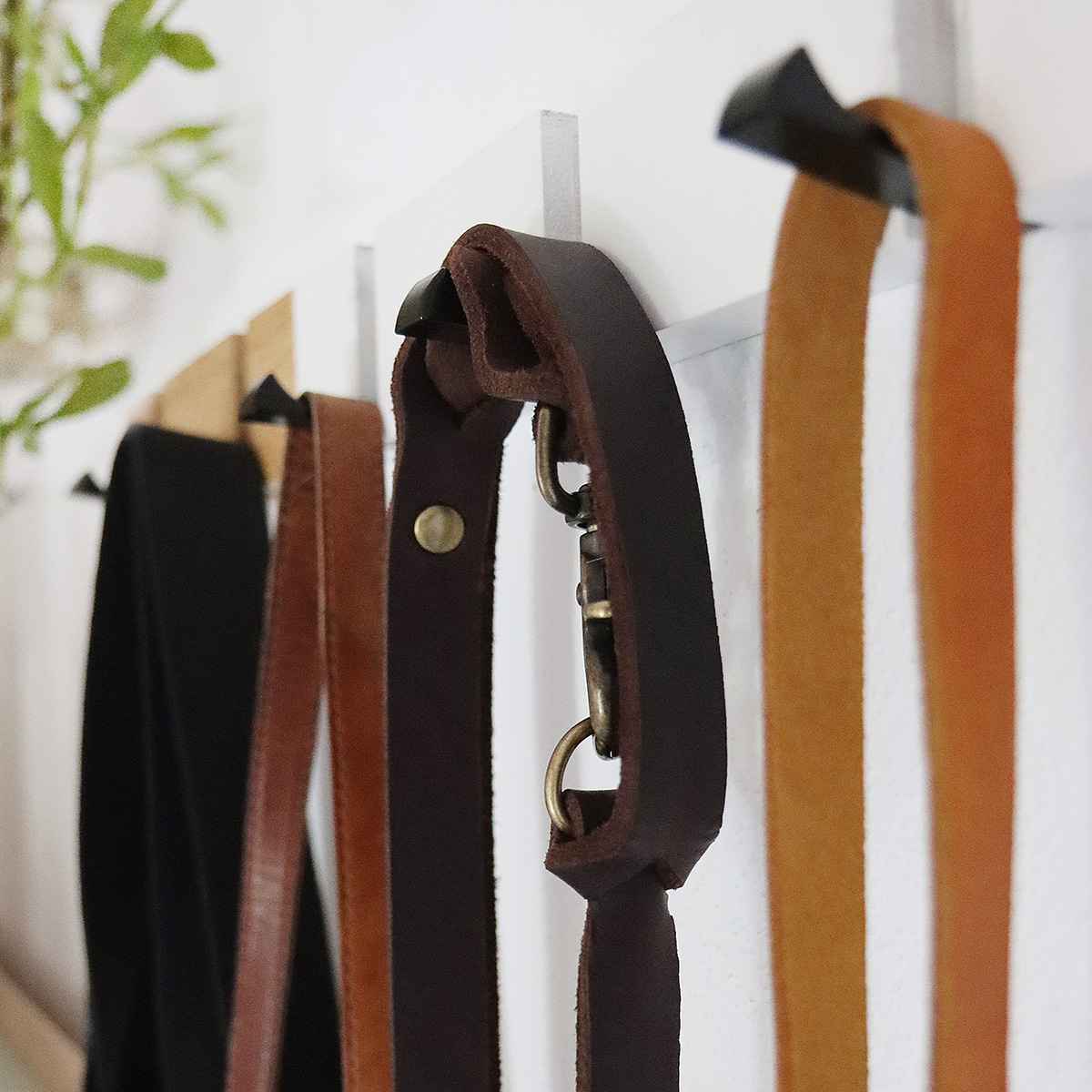 Hundeleine Buddy aus Leder