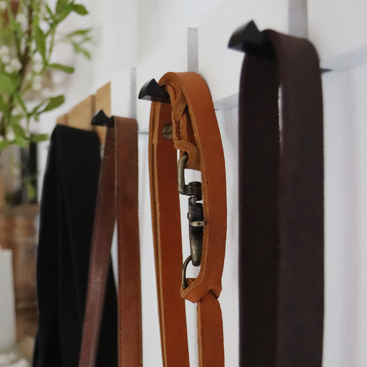 Hundeleine Finn aus Leder